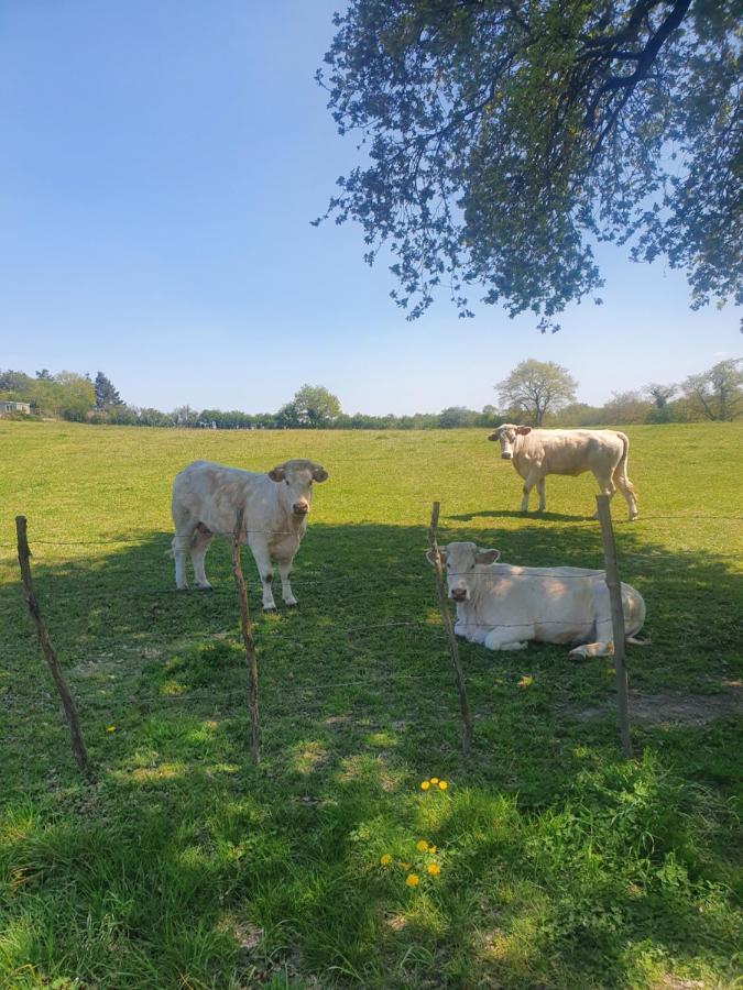 Villa Fleur De Lys Au Puy Du Fou - Stayinvendee La Gaubretiere Buitenkant foto